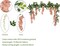 2-Pack Artificial Silk Wisteria Garland – 5.91 ft Each, Champagne Fake Wisteria Vines for Wedding Arch, Garden, and Home Floral Decorations